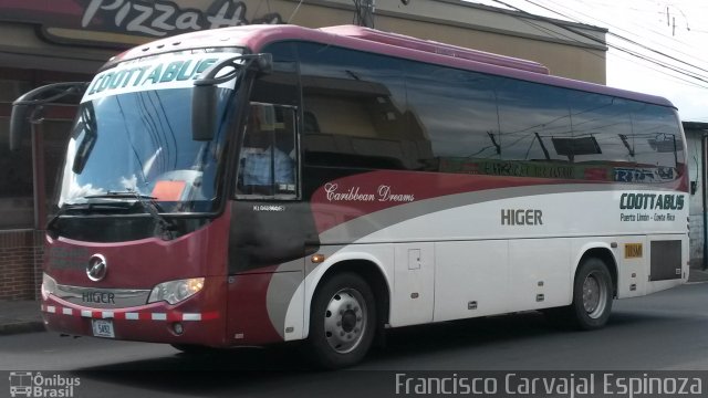 CottaBus AB 5492 na cidade de , por Francisco Carvajal Espinoza. ID da foto: 3251115.