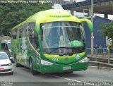 Sociedade Esportiva Palmeiras 3185 na cidade de São Paulo, São Paulo, Brasil, por Roberto Teixeira. Número da foto: #3251715.