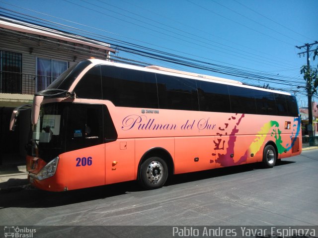 Pullman del Sur 206 na cidade de Santa Cruz, Colchagua, Libertador General Bernardo O'Higgins, Chile, por Pablo Andres Yavar Espinoza. Número da foto: #3188704.