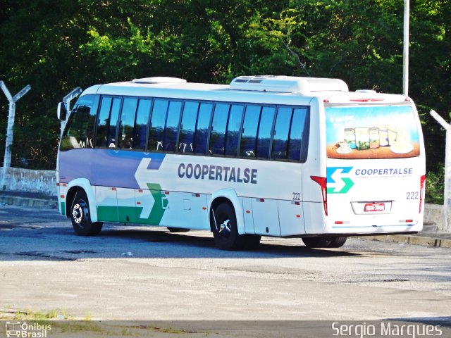 Coopertalse 222 na cidade de Aracaju, Sergipe, Brasil, por Sergio Marques . Número da foto: #3190856.