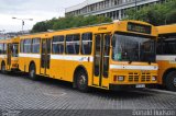 Horários do Funchal 529 na cidade de Funchal, Madeira, Portugal, por Donald Hudson. Número da foto: #3189323.