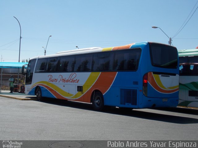 Buses Peñablanca ZJ1645 na cidade de Santa Cruz, Colchagua, Libertador General Bernardo O'Higgins, Chile, por Pablo Andres Yavar Espinoza. ID da foto: 3193789.