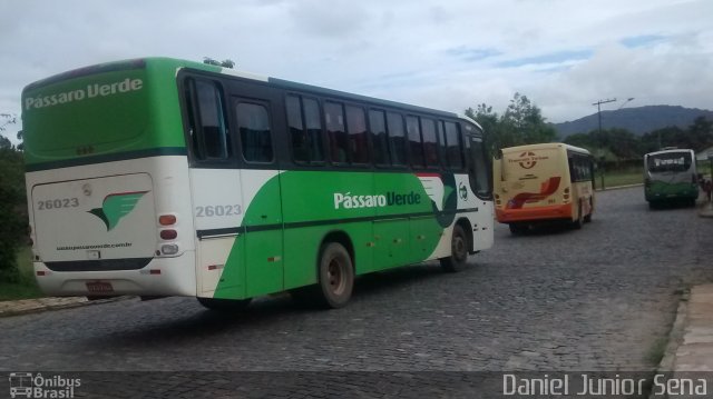 Pássaro Verde 26023 na cidade de Ouro Preto, Minas Gerais, Brasil, por Daniel Junior Sena. ID da foto: 3276804.