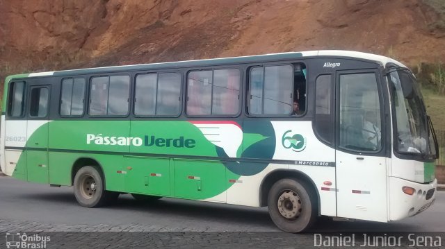 Pássaro Verde 26023 na cidade de Ouro Preto, Minas Gerais, Brasil, por Daniel Junior Sena. ID da foto: 3276808.