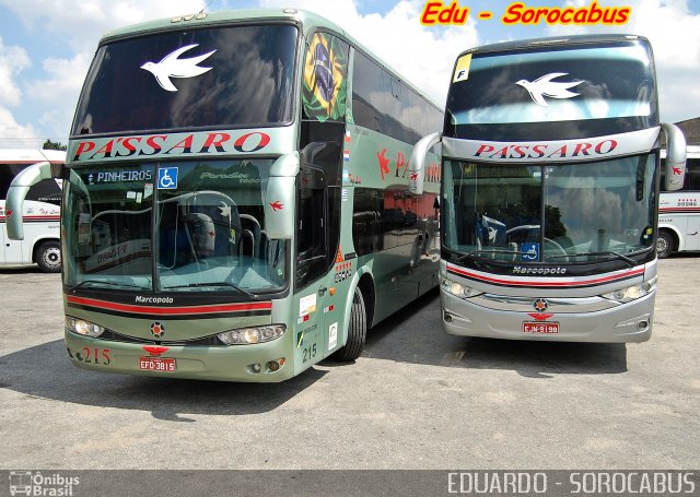 Pássaro Prata Transportadora Turística 215 na cidade de Sorocaba, São Paulo, Brasil, por EDUARDO - SOROCABUS. Número da foto: #3277290.