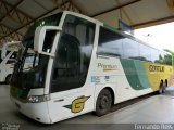 Empresa Gontijo de Transportes 11595 na cidade de Uberaba, Minas Gerais, Brasil, por Fernando Reis. Número da foto: #3277835.