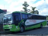 Elshadai Viagens 1410 na cidade de Juiz de Fora, Minas Gerais, Brasil, por Luiz Krolman. Número da foto: #3277682.