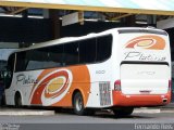 Viação Platina 1100 na cidade de Uberaba, Minas Gerais, Brasil, por Fernando Reis. Número da foto: #:id.