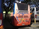Chilebus Internacional 221 na cidade de São Paulo, São Paulo, Brasil, por Robson Teixeira. Número da foto: #3292002.