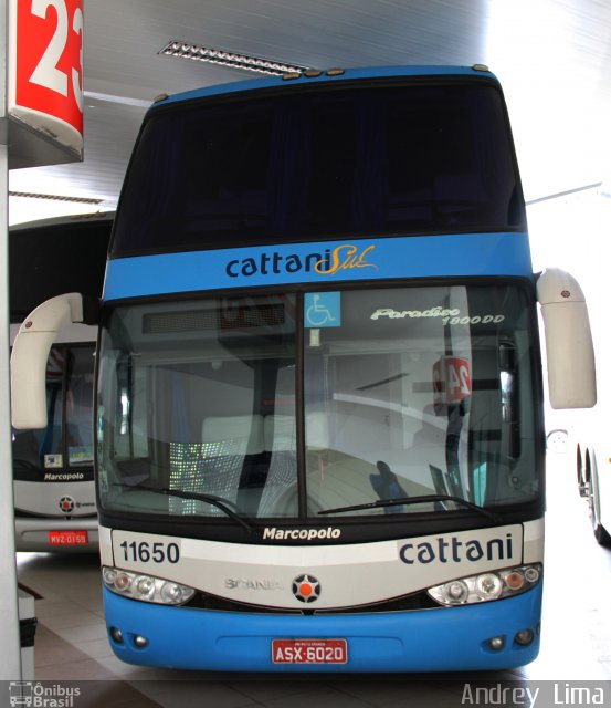 Cattani Sul Transportes e Turismo 11650 na cidade de Registro, São Paulo, Brasil, por Andrey  Lima. Número da foto: #3293660.