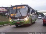 Expresso Real Rio RJ 133.075 na cidade de Seropédica, Rio de Janeiro, Brasil, por Paulo de Oliveira Ribeiro. Número da foto: #3293731.