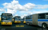 Metrobus 030 na cidade de Goiânia, Goiás, Brasil, por Carlos Júnior. ID da foto: :id.