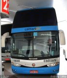 Cattani Sul Transportes e Turismo 11650 na cidade de Registro, São Paulo, Brasil, por Andrey  Lima. Número da foto: #3293660.