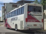 Hibisco Turismo 900 na cidade de Serra, Espírito Santo, Brasil, por Gilberto Martins. Número da foto: #:id.