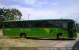 Pássaro Verde 15138 na cidade de Viçosa, Minas Gerais, Brasil, por Emerson Matias de Oliveira Santos. Número da foto: #:id.