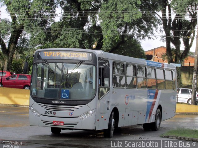 TransTupi Turismo e Fretamento 245 na cidade de Curitiba, Paraná, Brasil, por Luiz Scarabotto . ID da foto: 3303821.