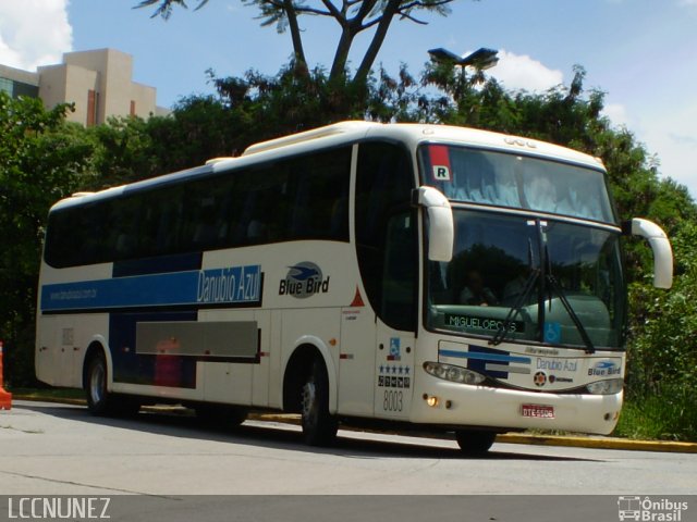 VIDA - Viação Danúbio Azul 8003 na cidade de São Paulo, São Paulo, Brasil, por Luis Nunez. Número da foto: #3304650.