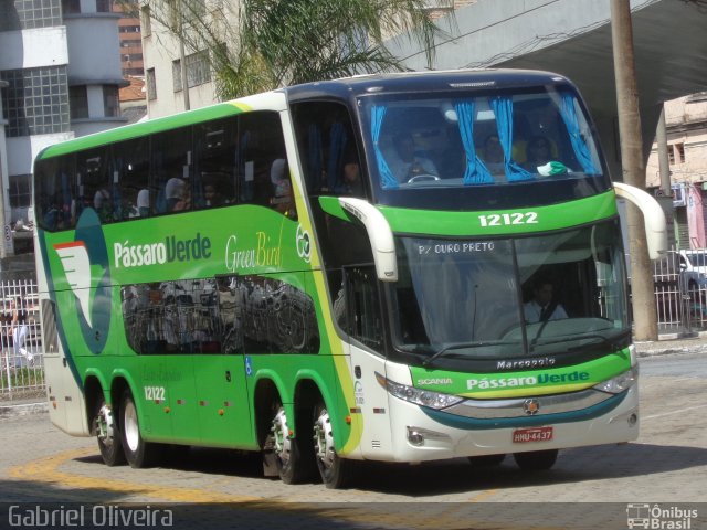 Pássaro Verde 12122 na cidade de Belo Horizonte, Minas Gerais, Brasil, por Gabriel Oliveira. Número da foto: #3304168.