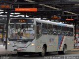 TransTupi Turismo e Fretamento 240 na cidade de Curitiba, Paraná, Brasil, por Luiz Scarabotto . Número da foto: #3303819.