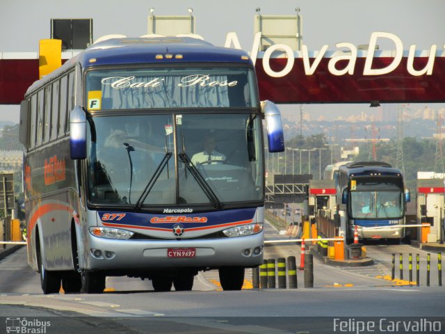 Cati Rose Transporte de Passageiros 377 na cidade de Jacareí, São Paulo, Brasil, por Felipe Carvalho. ID da foto: 3309173.