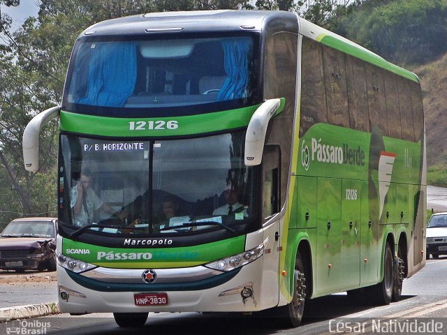 Pássaro Verde 12126 na cidade de Mariana, Minas Gerais, Brasil, por César Natividade. Número da foto: #3308200.