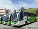 Pássaro Verde 27012 na cidade de Viçosa, Minas Gerais, Brasil, por Joase Batista da Silva. Número da foto: #:id.