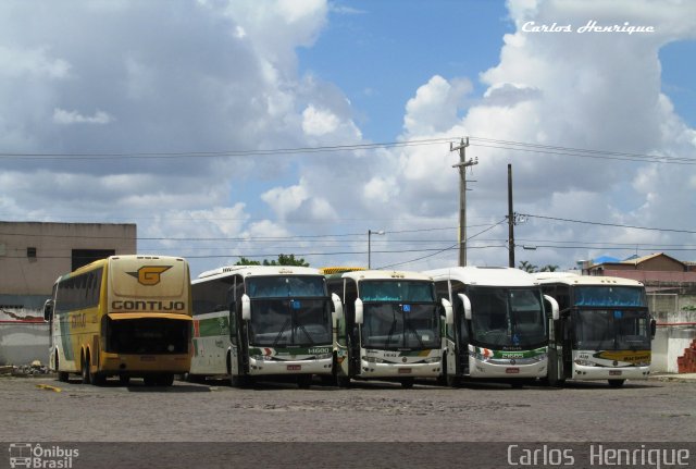 Empresa Gontijo de Transportes 12295 na cidade de Feira de Santana, Bahia, Brasil, por Carlos  Henrique. ID da foto: 3322480.