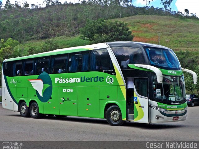 Pássaro Verde 12126 na cidade de Mariana, Minas Gerais, Brasil, por César Natividade. Número da foto: #3261036.