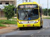 Viação Pioneira 223603 na cidade de Santa Maria, Distrito Federal, Brasil, por Gabriel Carvalho. Número da foto: #3267147.