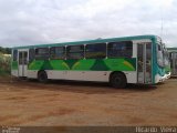 Viação Pioneira 405027 na cidade de Santa Maria, Distrito Federal, Brasil, por Ricardo Vieira. Número da foto: #3269206.