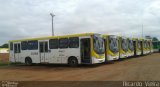 Viação Pioneira 222968 na cidade de Santa Maria, Distrito Federal, Brasil, por Ricardo Vieira. Número da foto: #3272068.