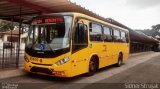 Auto Viação São José dos Pinhais EN600 na cidade de Curitiba, Paraná, Brasil, por Sidnei Machado Strujak. Número da foto: #3348592.