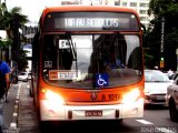 TRANSPPASS - Transporte de Passageiros 8 1017 na cidade de São Paulo, São Paulo, Brasil, por José Orestes. Número da foto: #:id.