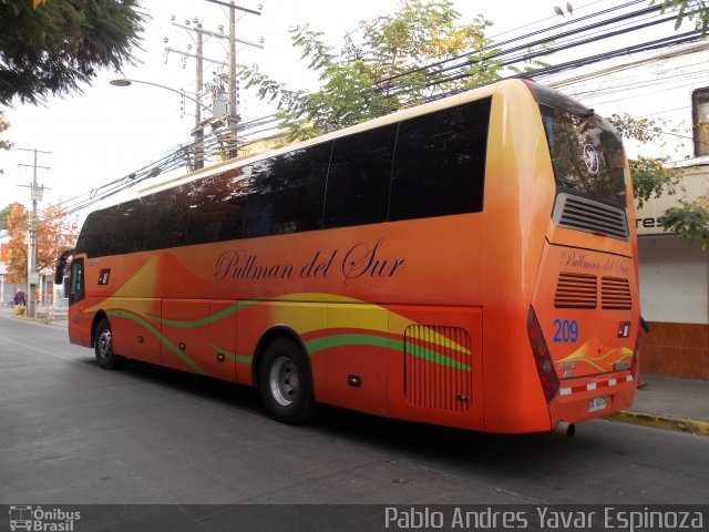 Pullman del Sur 209 na cidade de Santa Cruz, Colchagua, Libertador General Bernardo O'Higgins, Chile, por Pablo Andres Yavar Espinoza. Número da foto: #3354089.