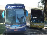 Princesa do Norte 51235 na cidade de Curitiba, Paraná, Brasil, por Matheus Barreto de Souza. Número da foto: #3357630.
