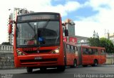 Transporte Coletivo Glória BD144 na cidade de Curitiba, Paraná, Brasil, por Felipe Aquino da Silva. Número da foto: #3358319.