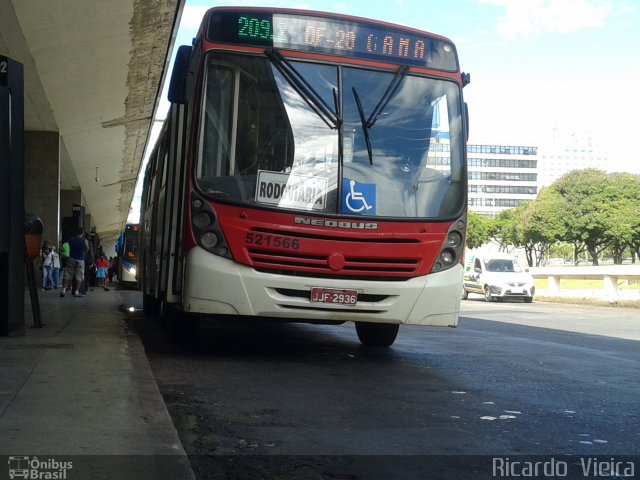 Cootarde 521566 na cidade de Brasília, Distrito Federal, Brasil, por Ricardo Vieira. ID da foto: 3363897.