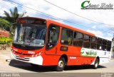 Autotrans > Turilessa 25250 na cidade de Nova União, Minas Gerais, Brasil, por César Ônibus. ID da foto: :id.