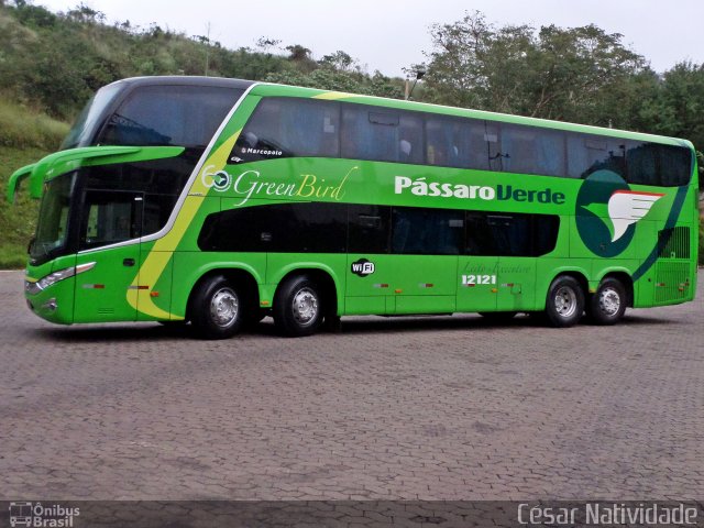 Pássaro Verde 12121 na cidade de Mariana, Minas Gerais, Brasil, por César Natividade. Número da foto: #3369912.