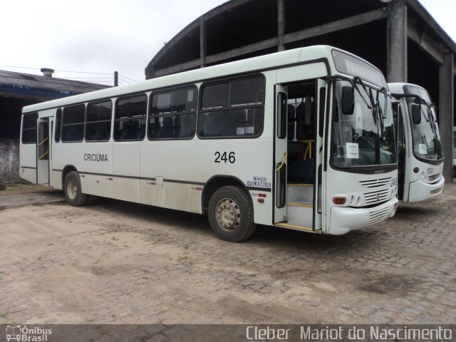 Auto Viação Critur 246 na cidade de Criciúma, Santa Catarina, Brasil, por Cleber  Mariot do Nascimento. Número da foto: #3370076.