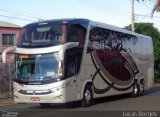 Vera Cruz Transporte e Turismo 2310 na cidade de Araxá, Minas Gerais, Brasil, por Lucas Borges . Número da foto: #3368467.
