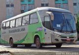 Transbrasiliana Transportes e Turismo 11319 na cidade de Belém, Pará, Brasil, por Vinicius Alexandre. Número da foto: #:id.