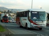 Rouxinol 415 na cidade de Belo Horizonte, Minas Gerais, Brasil, por Adão Raimundo Marcelino. Número da foto: #3328910.