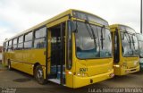 Transportes Coletivos Pérola do Oeste 5061 na cidade de Guarapuava, Paraná, Brasil, por Lucas Henrique Mendes. Número da foto: #3371358.