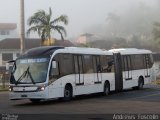 Transtusa - Transporte e Turismo Santo Antônio 2015 na cidade de Joinville, Santa Catarina, Brasil, por Andrews  Fuscolin. Número da foto: #3372773.