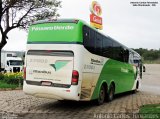 Pássaro Verde 27002 na cidade de João Monlevade, Minas Gerais, Brasil, por Antonio Carlos Fernandes. Número da foto: #:id.