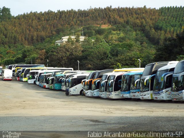 Pitangui Turismo 1900 na cidade de Aparecida, São Paulo, Brasil, por Fabio Alcantara. Número da foto: #3378288.