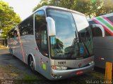 Ana Carolina Turismo 1001 na cidade de São Paulo, São Paulo, Brasil, por Stefano  Rodrigues dos Santos. Número da foto: #:id.