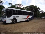 Transduarte 485 na cidade de Divinópolis de Goiás, Goiás, Brasil, por Dorivan Antonio Duarte Júnior. Número da foto: #3382357.