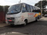 Transmimo 8230 na cidade de Hortolândia, São Paulo, Brasil, por Paulo de Oliveira Ribeiro. Número da foto: #3388503.